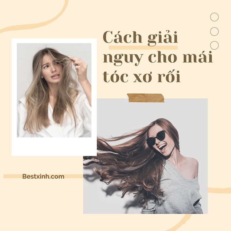 Tips giải nguy cho mái tóc xơ rối