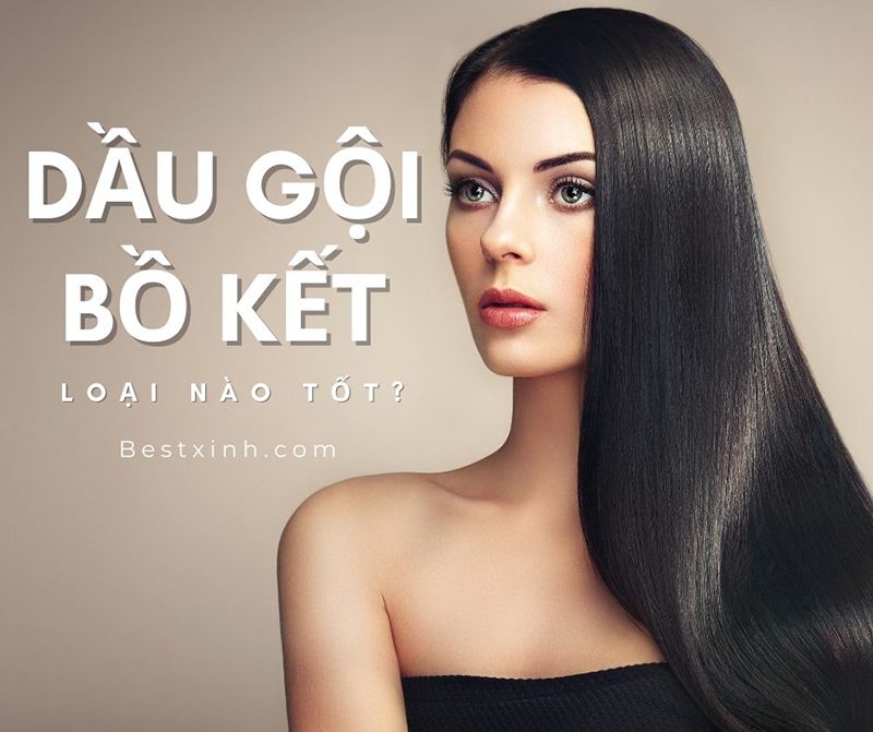 Dầu gội bồ kết loại nào tốt?