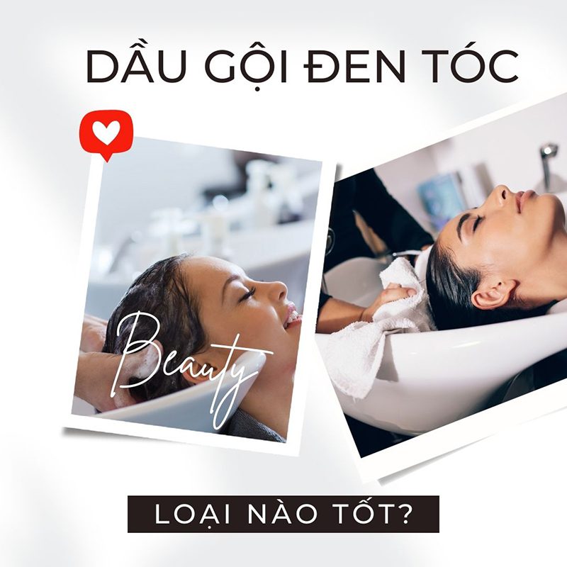 Dầu gội đen tóc loại nào tốt?