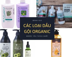 Điểm danh các loại dầu gội Organic an toàn cho da đầu