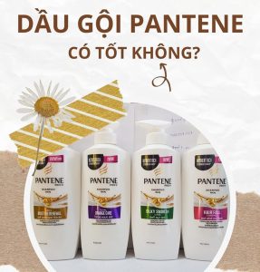 Review chi tiết về các loại dầu gội Pantene