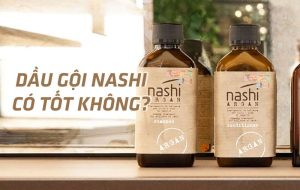 Dầu gội Nashi có tốt không?