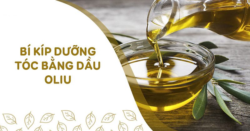 Cách dưỡng tóc bằng dầu oliu