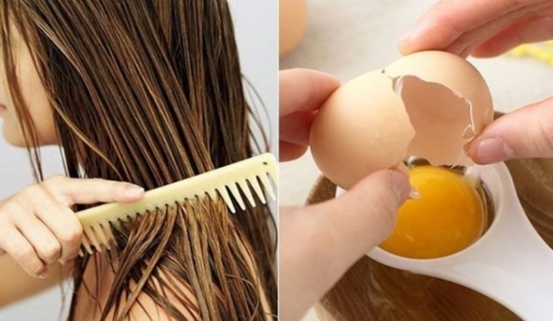 Trứng gà có tác dụng như thế nào với mái tóc?