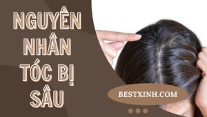 Nguyên nhân tóc bị sâu là gì