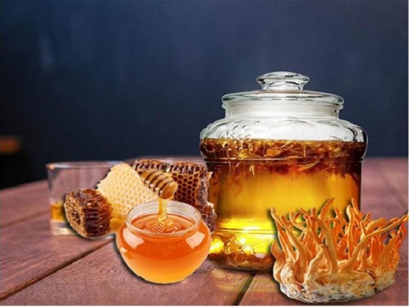 Tác dụng của đông trùng hạ thảo ngâm mật ong với sức khỏe