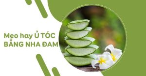 Cách ủ tóc bằng nha đam tươi