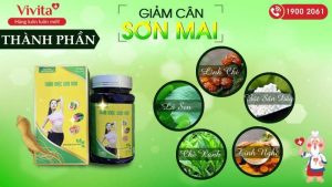 Viên uống giảm cân Sơn Mài